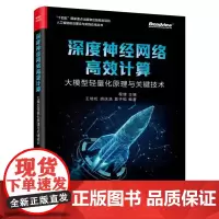 正版 深度神经网络高效计算 大模型轻量化原理与关键技术 程健 深度学习模型优化 算法软件加速 硬件架构设计图书籍