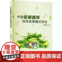 中国低碳循环经济发展模式研究 吴丽华 著 经济理论经管、励志 正版图书籍 吉林出版集团股份有限公司