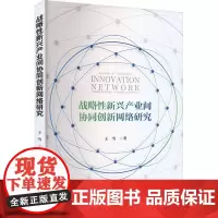 战略性新兴产业间协同创新网络研究 王雪 著 经济理论经管、励志 正版图书籍 经济科学出版社