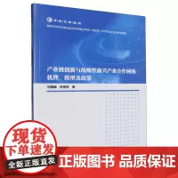 产业链创新与战略性新兴产业合作网络:机理、模型及政策