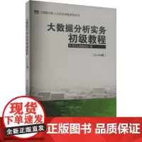 大数据分析实务初级教程(Excel) 北京大数据协会 编 经济理论经管、励志 正版图书籍 中国统计出版社