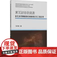 高瓦斯松软煤层多孔协同爆破疏松增渗理论与工程应用 马衍坤 著 大学教材大中专 正版图书籍 中国矿业大学出版社