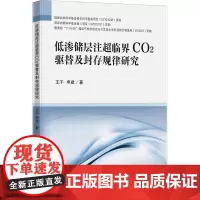 低渗储层注超临界CO2驱替及封存规律研究 王千,申建 著 大学教材大中专 正版图书籍 中国矿业大学出版社