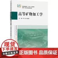 高等矿物加工学 李振,高志勇 编 大学教材大中专 正版图书籍 中国矿业大学出版社