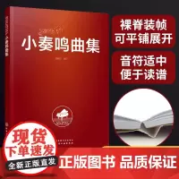 正版 小奏鸣曲集 西柚尔 成人少儿童学生钢琴学习经典教材奏鸣曲入门教程钢琴练习曲弹奏技巧曲谱指法技巧钢琴曲集基础入门图书