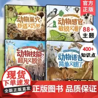 全4册 动物是怎样生存的 画给孩子的自然通识课 动物巢穴技能感官语言 3-6-8岁儿童小学生课外阅读幼儿园绘本科普图画图