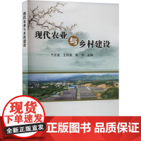现代农业与乡村建设 于志波,王艳莹,陈伟 编 建筑/水利(新)专业科技 正版图书籍 中国农业科学技术出版社