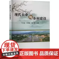 现代农业与乡村建设 于志波,王艳莹,陈伟 编 建筑/水利(新)专业科技 正版图书籍 中国农业科学技术出版社