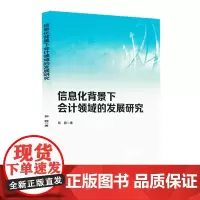 信息化背景下会计领域的发展研究