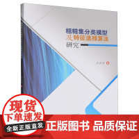 粗糙集分类模型及特征选择算法研究