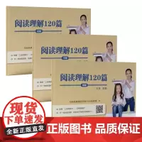 王芳大语文系列—阅读理解120篇(初级)