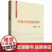 中国开放型经济学/21世纪马克思主义文库 裴长洪 中国社会科学出版社 中国经济书籍