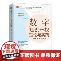 数字知识产权理论与实践 立足数字知识产权理论创新 抢占未来数字产业发展新赛道 知识产权读本 加快形*质生产力