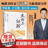 [余杭新华正版]走向上的路 千万粉丝教育博主石雷鹏励志作品 学习的压力事业的迷茫认清自己减少内耗找到突破自我的方法