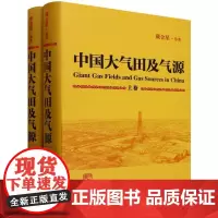 中国大气田及气源