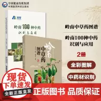 岭南100种药食两用中药材识别与应用药食同源岭南药膳常见药食两用100种药食两用中药材岭南中草药图谱全彩图解常用常见岭南