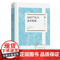 知识产权与损害赔偿 日本法学名著译丛 [日]田村善之 著 商务印书馆