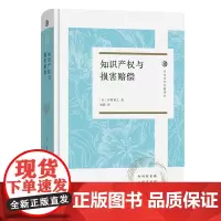知识产权与损害赔偿 日本法学名著译丛 [日]田村善之 著 商务印书馆