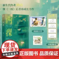 [余杭新华正版]两棵 新生代作者绿山继一枝后青春成长代表作 小说 竹马 双向救赎 温柔酷哥裘榆vs乖巧学霸袁木 新增番外