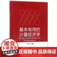 基本有用的计量经济学(高等院校经济学管理学系列教材)