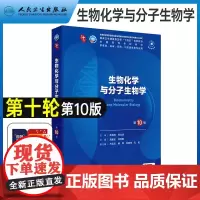 生物化学与分子生物学 第10版人卫最新版第十9版十四五规划临床西医综合医学本科教材书五年制考研大学教材书组织胚胎学病理生