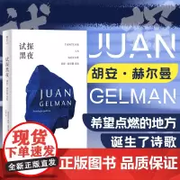 试探黑夜:胡安·赫尔曼诗选