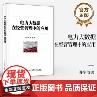 店 电力大数据在经营管理中的应用 电力经营管理领域大数据应用现状及前沿技术 电力经营管理大数据应用案例书