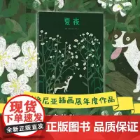 夏夜 博洛尼亚插画展年度作品 清新惬意的夜晚散步 一步一步遇见夏天的风景 感受自然生活中的小小幸福 大拉页艺术画卷 爱心
