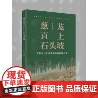 葱茏直上石头坡:百年矿山生态恢复奇迹现场目击