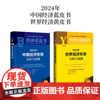 2024年中国经济形势分析与预测+世界经济形势分析与预测 (赠皮书笔记本)中国经济蓝皮书 世界经济黄皮书 中国经济的未来