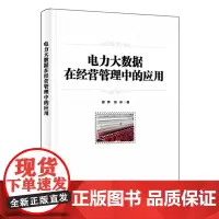正版 电力大数据在经营管理中的应用 电力经营管理领域大数据应用现状及前沿技术 电力经营管理大数据应用案例书