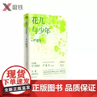 花儿与少年 严歌苓