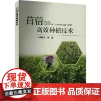 苜蓿高效种植技术 杨青川 编 9787511665867 中国农业科学技术出版社