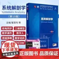 系统解剖学 第10版第十版 本科临床西医医学人体解刨学彩色教材书图谱妇产科学内科学外科儿科学诊断局部人民卫生出版社考研十