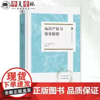知识产权与损害赔偿 日本法学名著译丛 [日]田村善之 著 商务印书馆 9787100241229