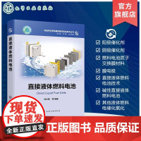 先进电化学能源存储与转化技术丛书 直接液体燃料电池 电化学 催化剂 质子交换膜 膜电极技术 电池集体成及应用 碱性燃料电