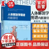 人体解剖学图谱器官 上海科学技术出版社器官人体解剖器官发育系统解剖学