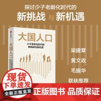 大国人口 少子老龄化时代的新挑战与新机遇 任泽平 白学松著 梁建章 黄文政 毛振华联袂 中信出版社图书 正版