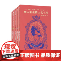 魔法象法语大奖书屋(第三辑) ﹝法﹞安妮·洁颖/著 大奖经典 大语文 阅读写作 广西师范大学出版社