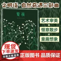 夏夜 (韩)文明诣 著 高艾 译 儿童文学少儿 正版图书籍 新星出版社