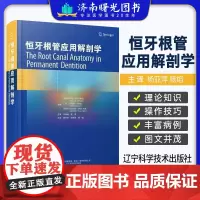 恒牙根管应用解剖学 巴西 马可 韦尔西阿尼 著 游月华 杨亚萍 杨焰 主译 辽宁科学技术出版社9787559132581
