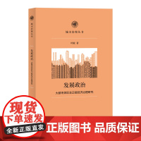 发展政治 大都市郊区非正规经济治理研究