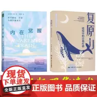 [全套2册]复原力+内在觉醒 关于联结 疗愈与提升复原力 重拾你与生俱来的的内在力量