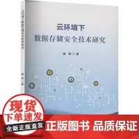 云环境下数据存储安全技术研究 姜堃 著 数据库专业科技 正版图书籍 哈尔滨出版社