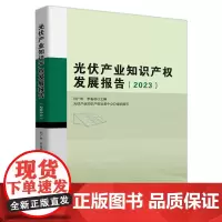 光伏产业知识产权发展报告.2023