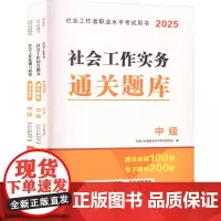 社会工作者职业水平考试用书 中级 2025(1-3) 社会工作者职业水平考试研究组 编 公务员考试经管、励志 正版图书籍