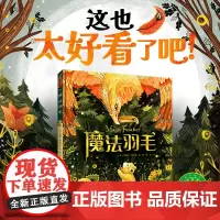 魔法羽毛精装海豚绘本花园幸福的旅程国际大奖大师绘本你本来就做得到3-6岁幼儿园宝宝激发潜能自我认知成长启蒙故事睡前图画书