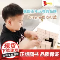 Dusyma空间思维训练积木礼盒全阶三维立体投影成像推理儿童玩教具