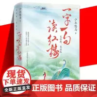 正版 一字一句读红楼 少年怒马著 解读红楼读本简明版古诗词赏析 人物历史文化风俗文学等多维度解读红楼梦读懂红楼人物与