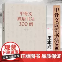 甲骨文成语书法300例 书法 中国书法字典 北京工艺美术出版社 工艺美术篆刻字帖 艺术书法篆刻书籍